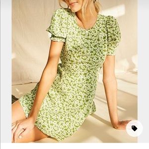 Daisy Print Fit & Flare Dress